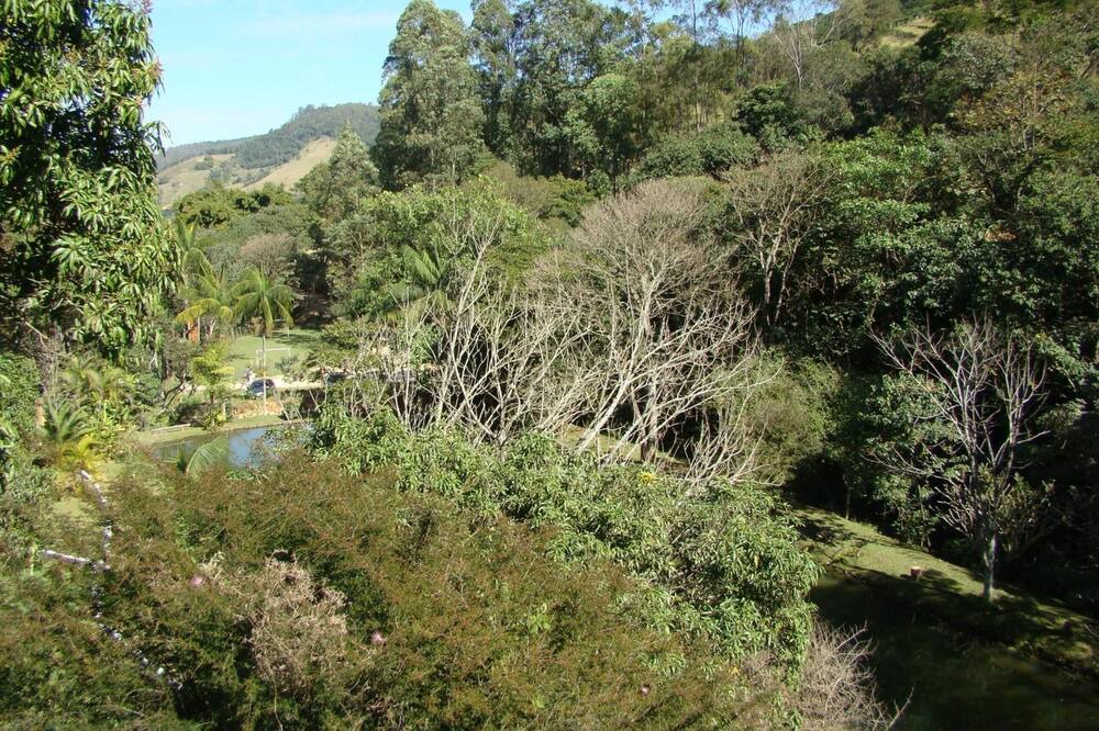 Photo of Outdoor in Monte Alegre do Sul