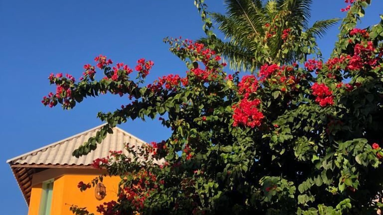 Photo of Outdoor in Morro de Sao Paulo