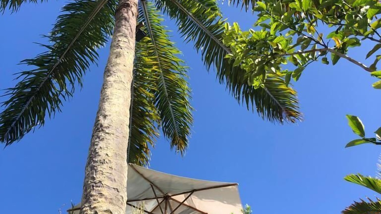 Photo of Outdoor in Morro de Sao Paulo