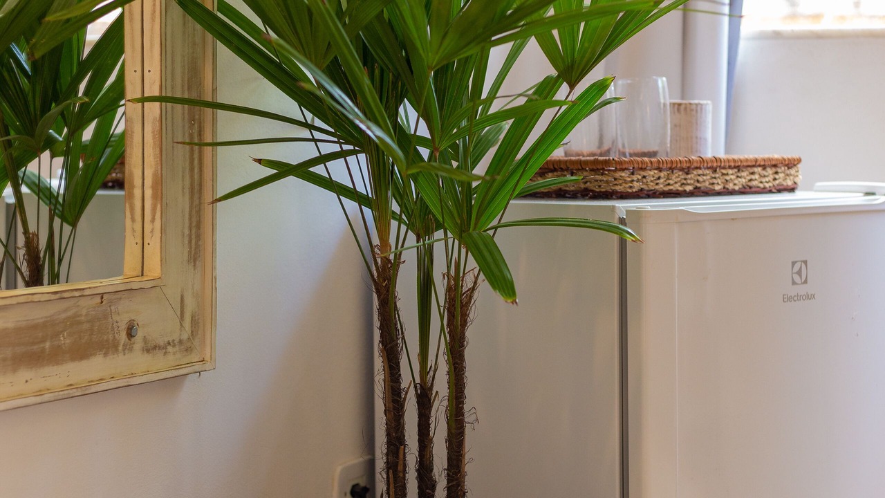 Photo of Bedroom in Trancoso