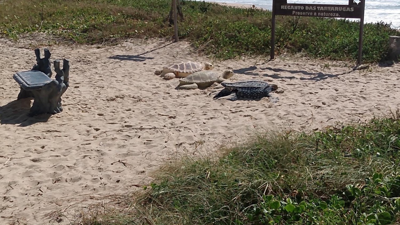 Photo of Others in Barra Mar