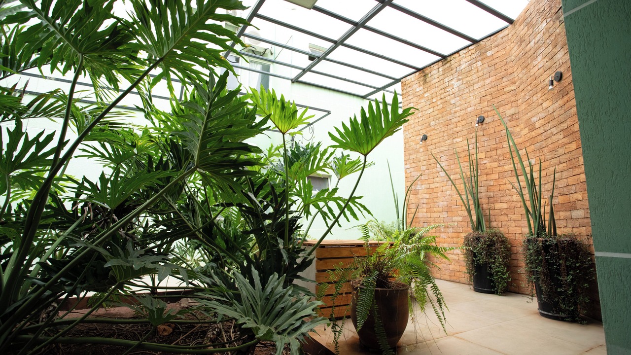 Photo of Outdoor in Centro