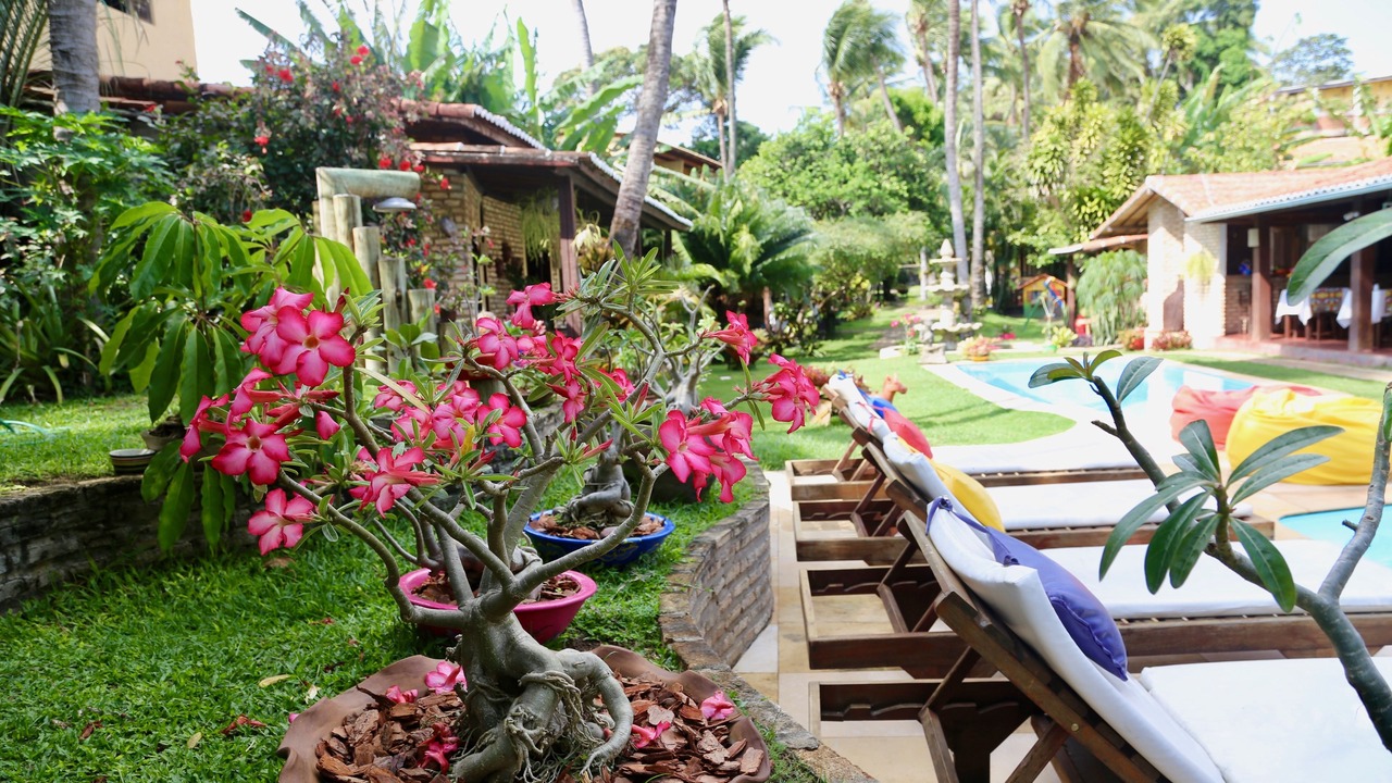 Photo of Outdoor in Pipa