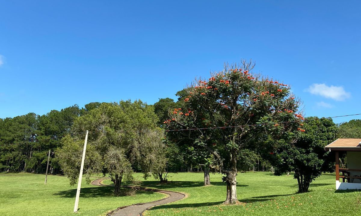 Photo of Outdoor in Centro