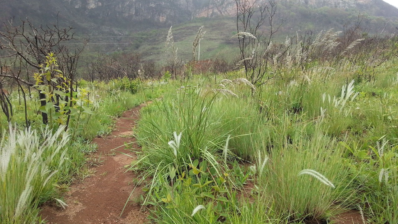 Photo of Outdoor in Santana do Riacho