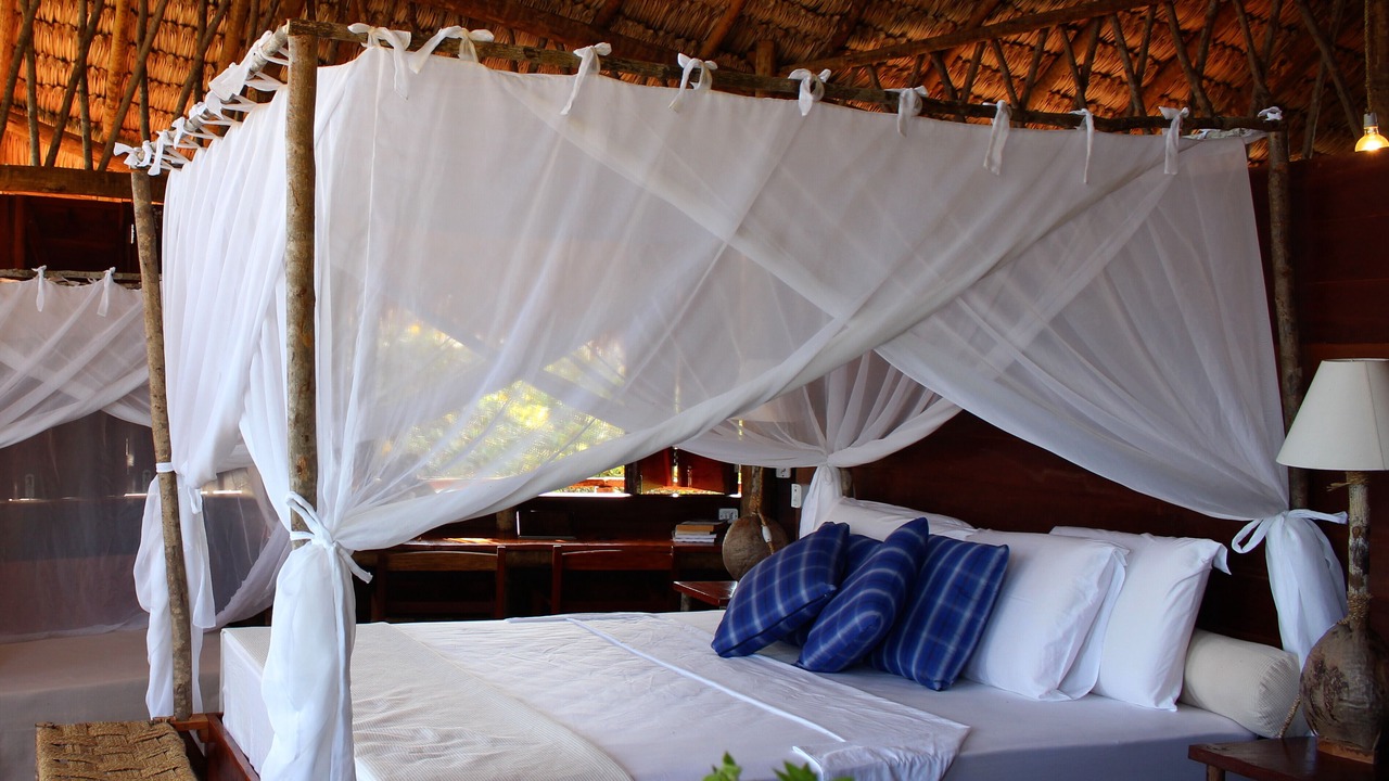Photo of Bedroom in Prea