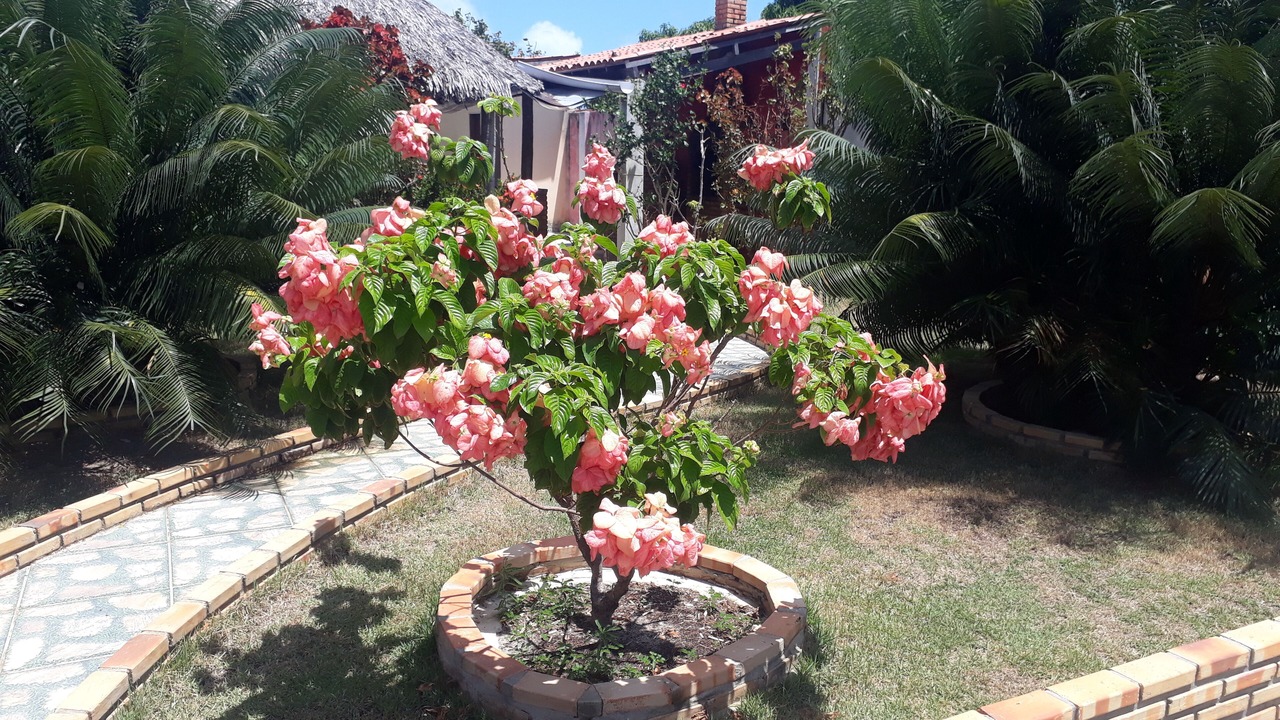 Photo of Patio Balcony in Beberibe