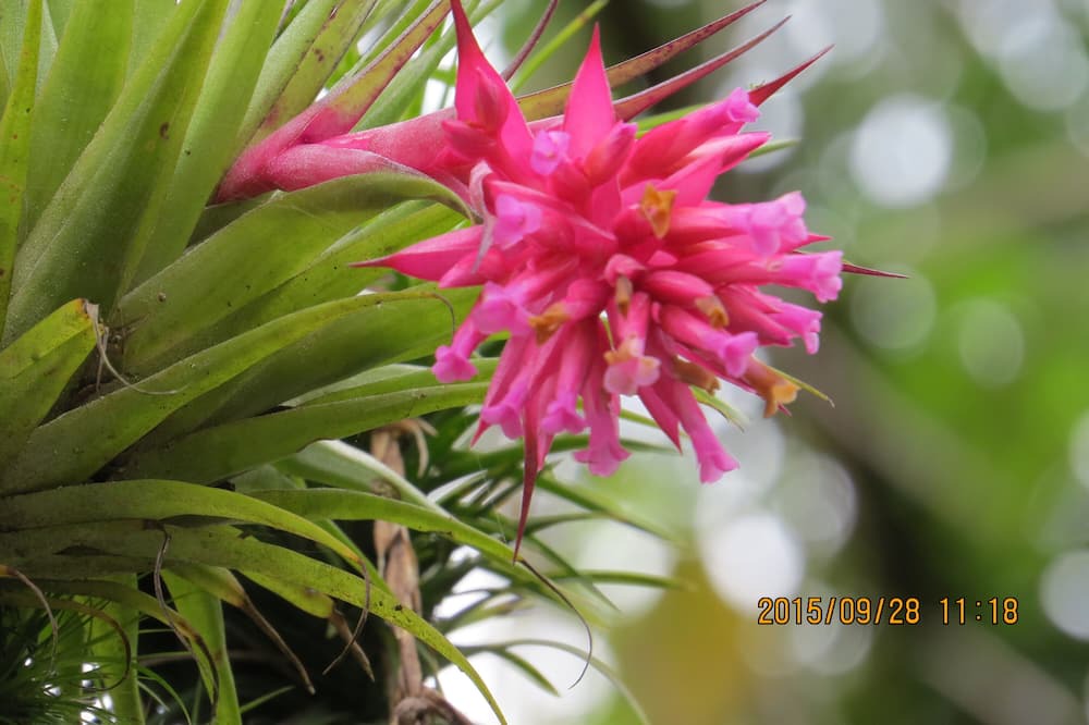 Photo of Outdoor in Guarutuba