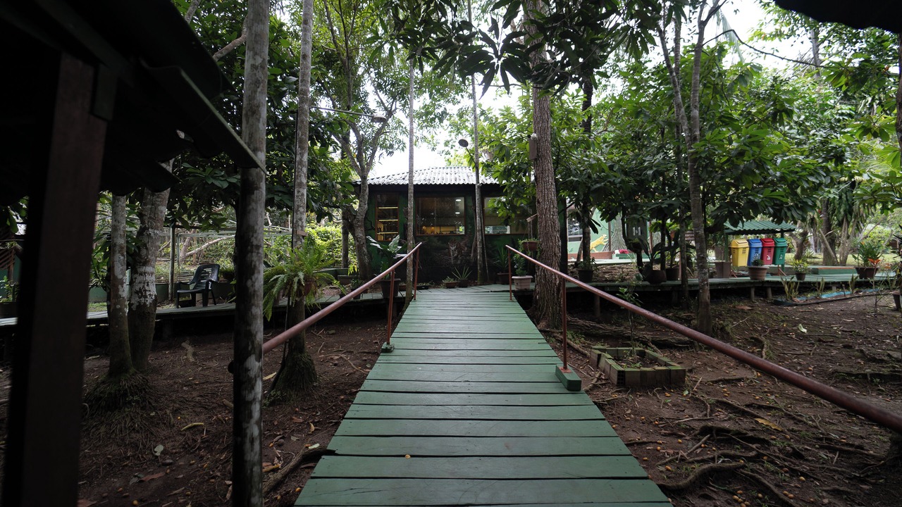 Photo of Outdoor in Amazon River