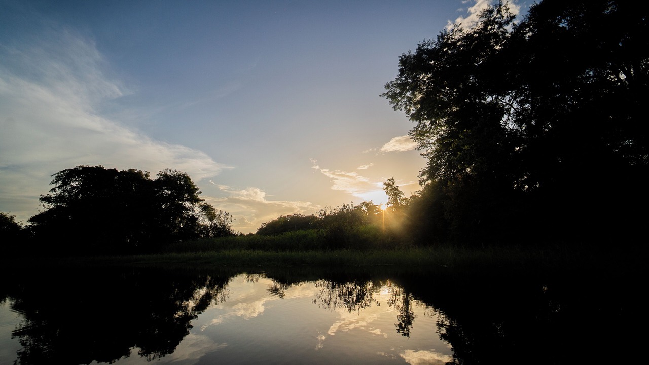 Photo of Others in Amazon River