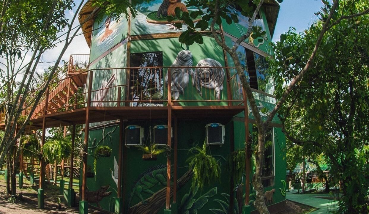 Photo of Outdoor in Amazon River