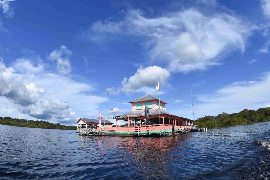 Photo of Others in Amazon River