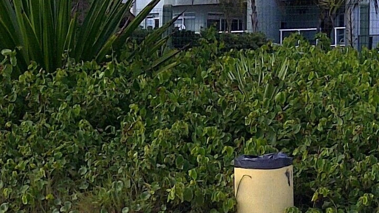 Photo of Outdoor in Centro