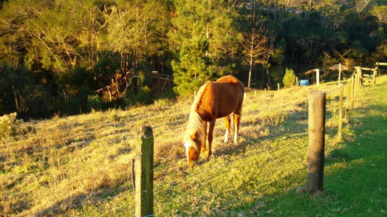 Photo of Outdoor in Morro Grande