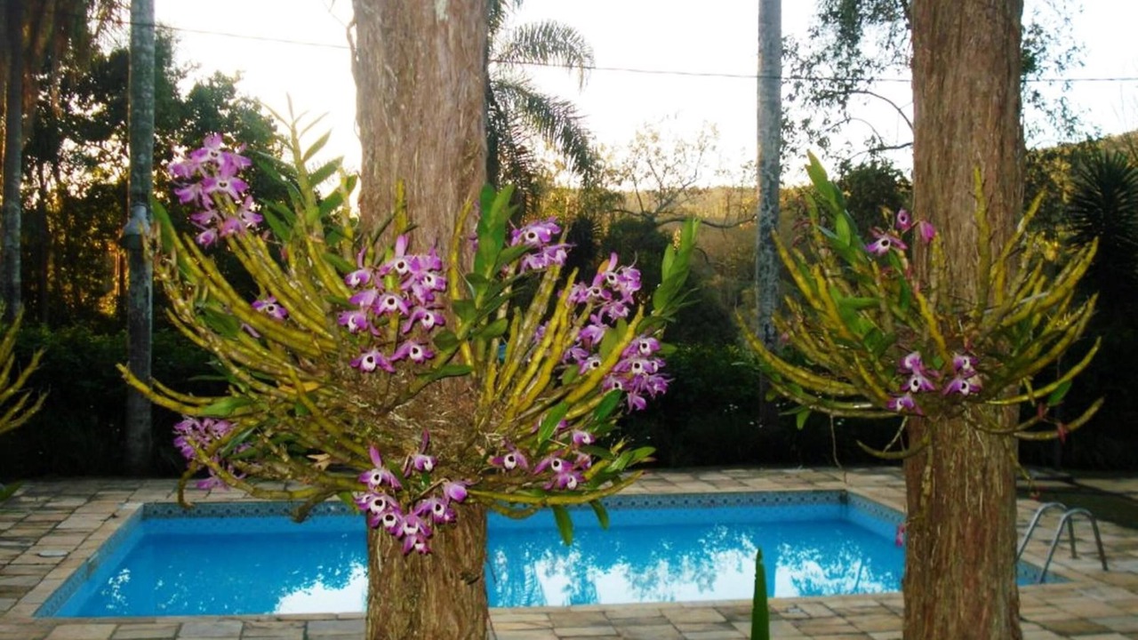 Photo of Outdoor in Morro Grande