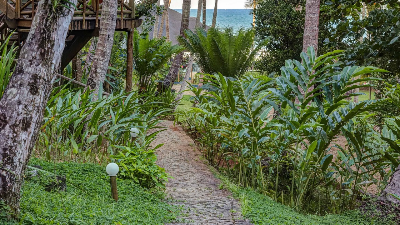 Photo of Outdoor in Itacare