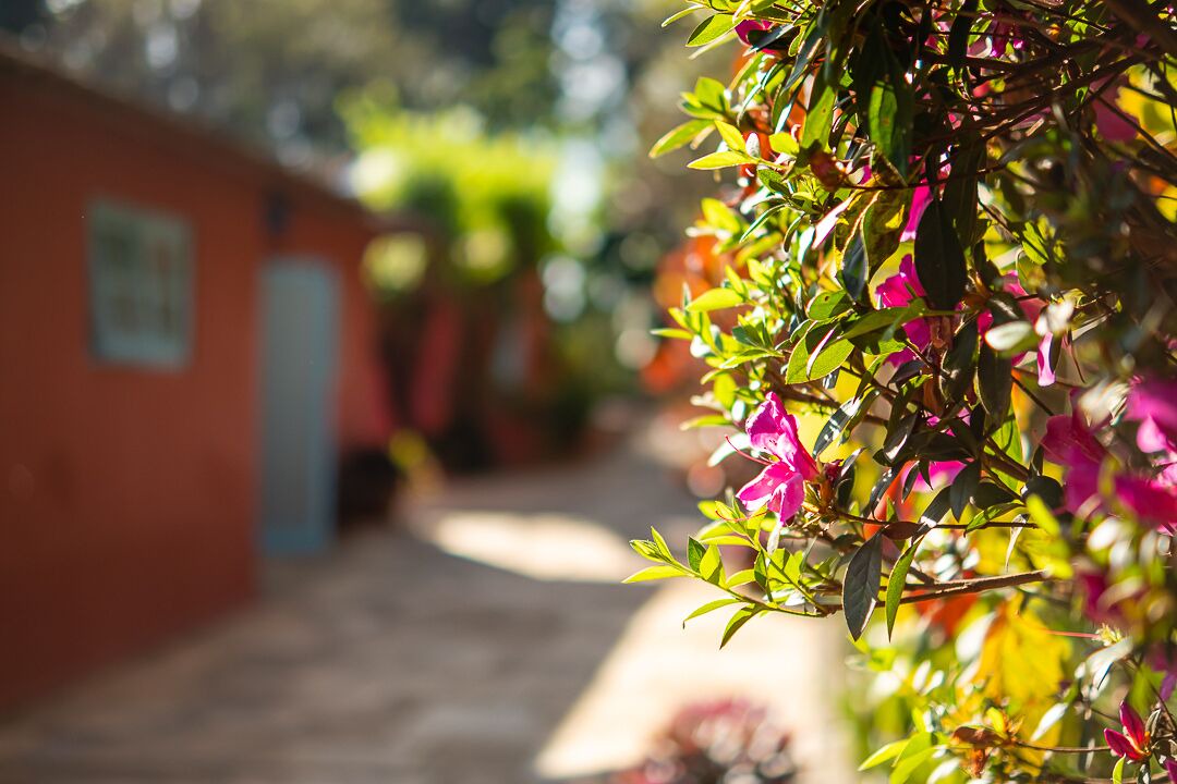 Photo of Outdoor in Braganca Paulista