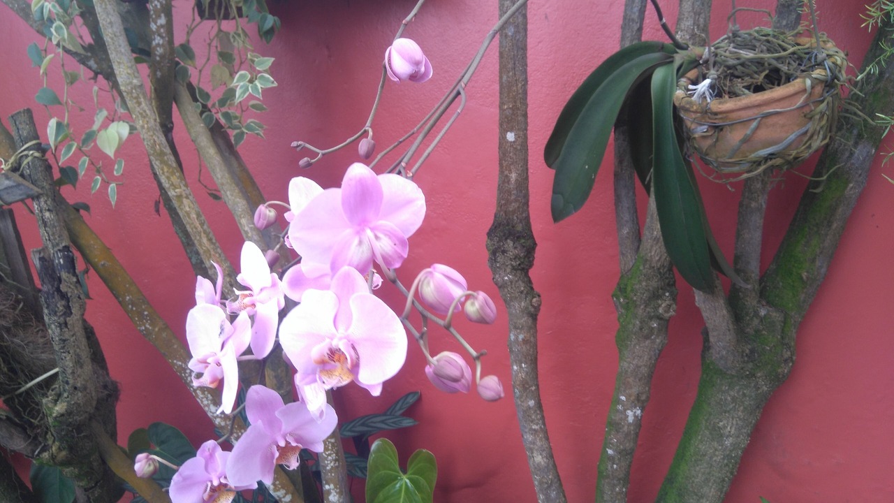 Photo of Outdoor in Pontal