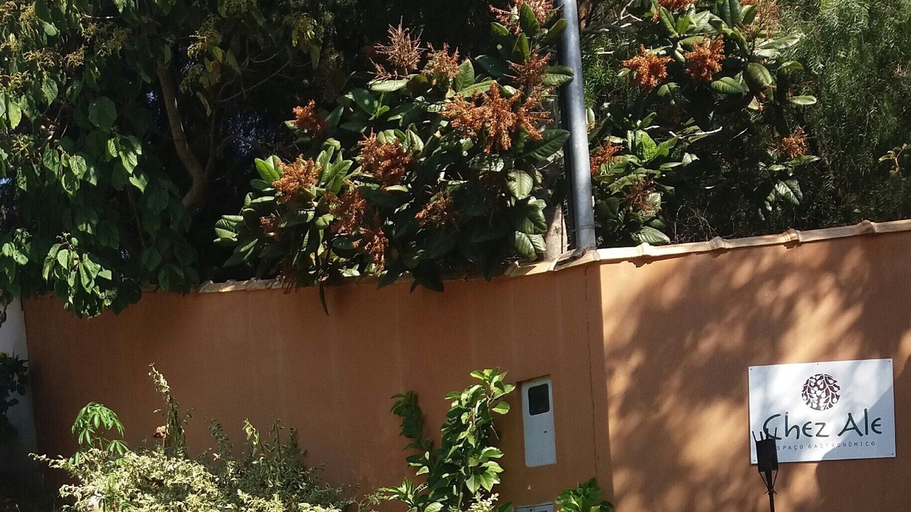 Photo of Outdoor in Braganca Paulista