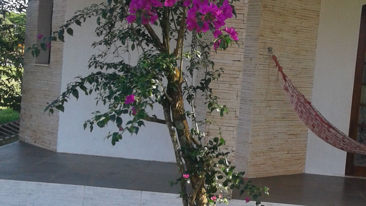 Photo of Outdoor in Paranapanema