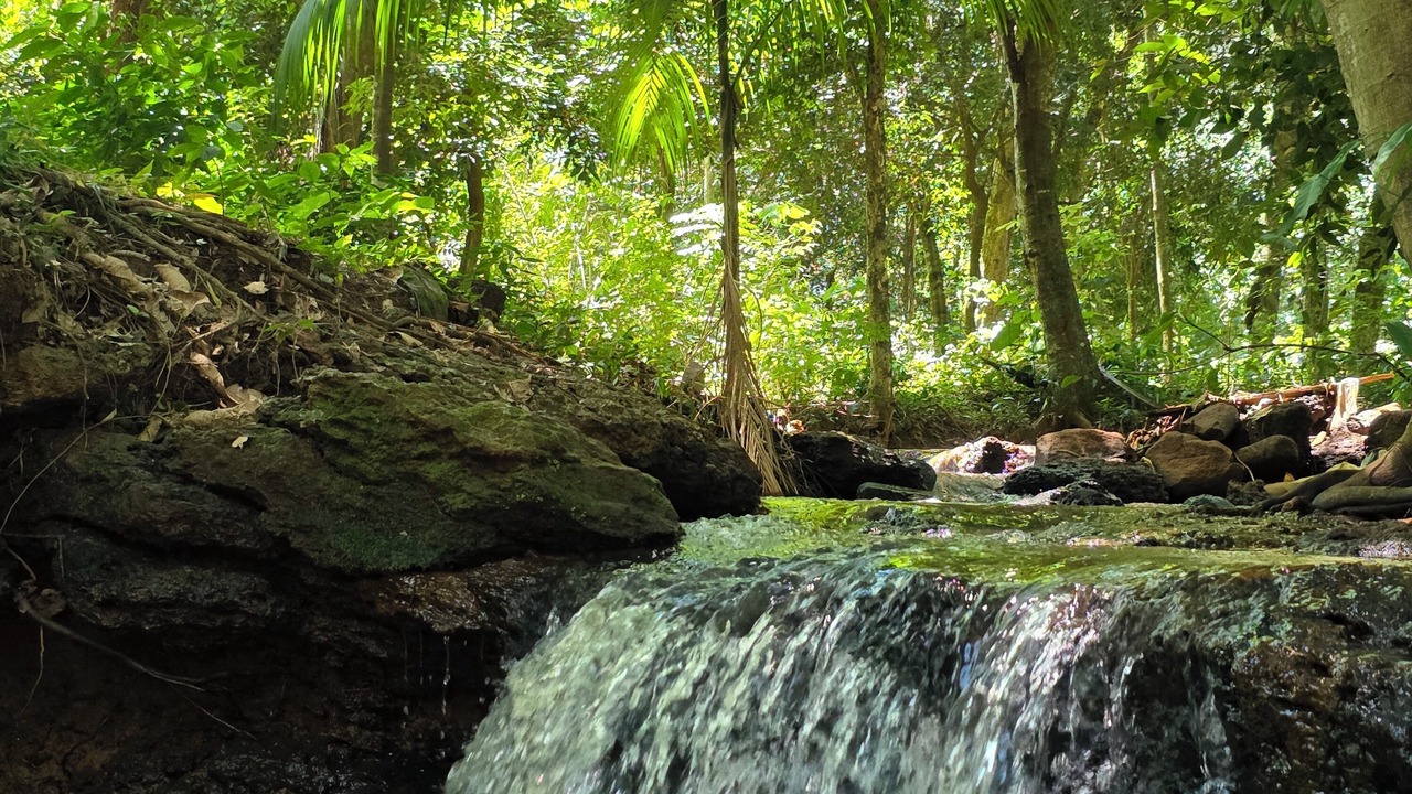 Photo of Outdoor in Puerto Iguazu