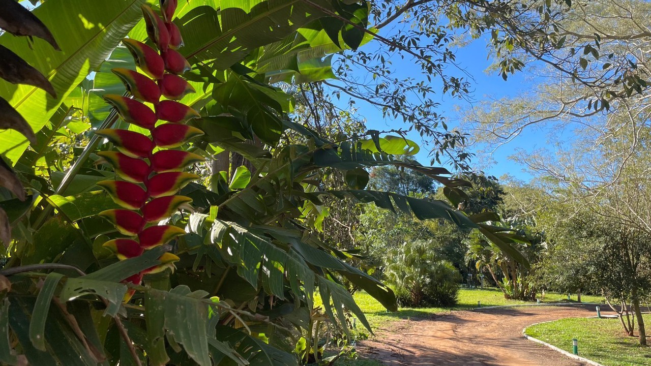 Photo of Outdoor in Puerto Iguazu
