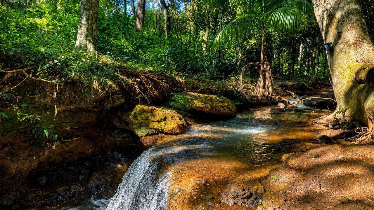 Photo of Outdoor in Puerto Iguazu