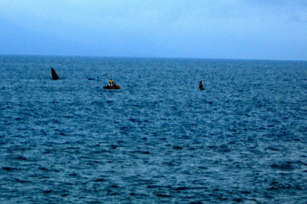 Photo of Others in Caraguatatuba