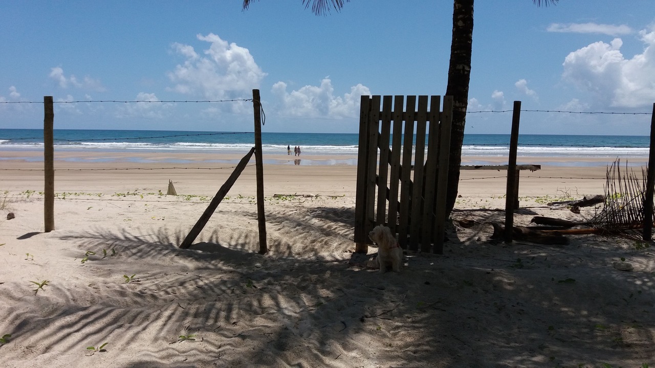 Photo of Others in Ilheus