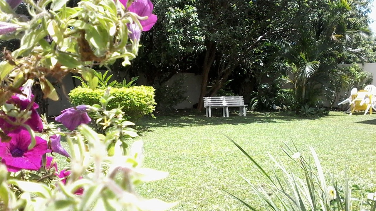 Photo of Others in Florianopolis