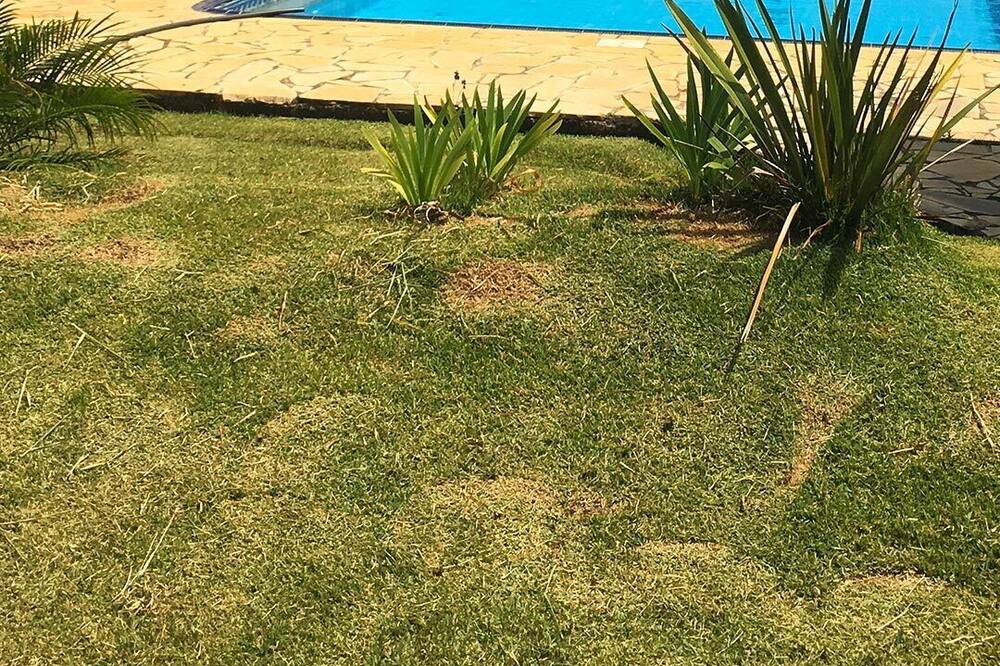 Photo of Outdoor in Dona Catarina