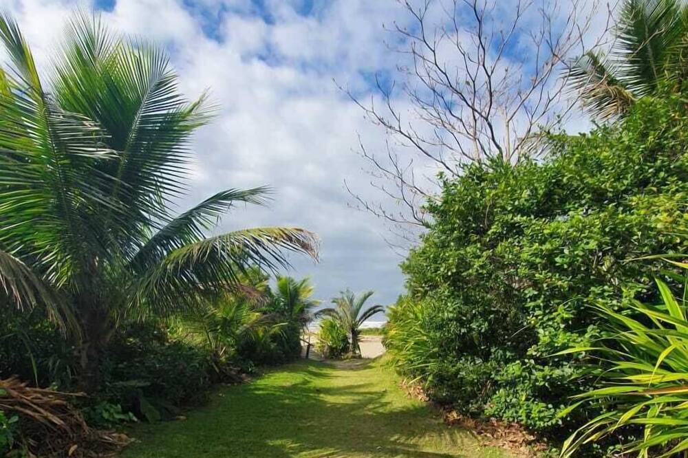 Photo of Outdoor in Guarutuba