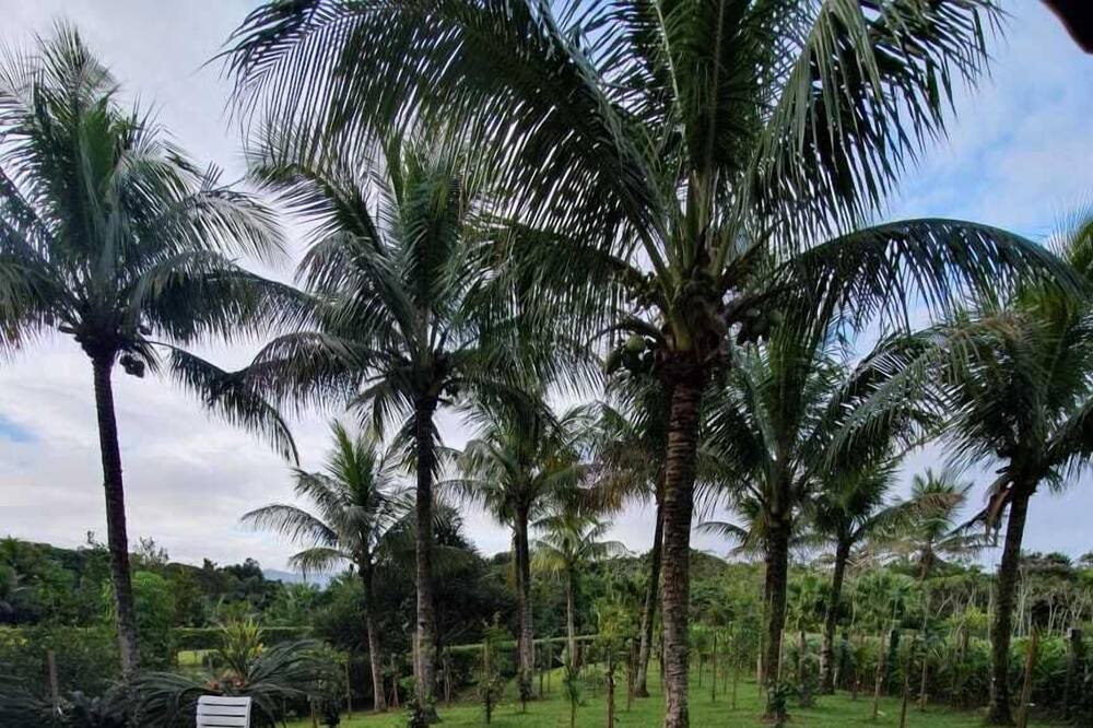 Photo of Outdoor in Guarutuba