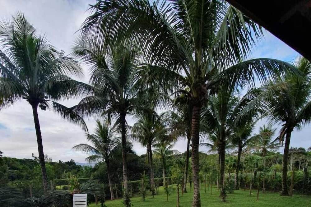 Photo of Outdoor in Guarutuba