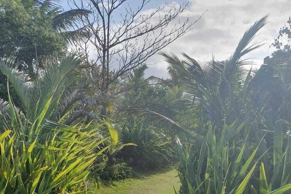 Photo of Outdoor in Guarutuba