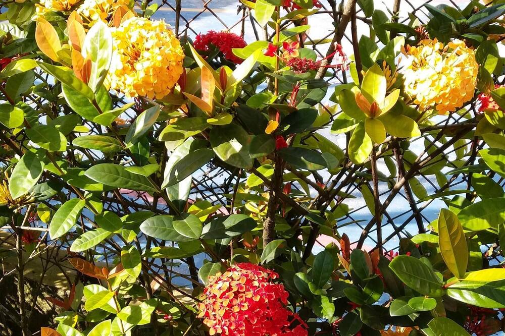 Photo of Outdoor in Vila Clais