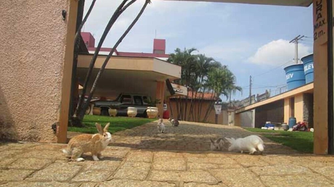 Photo of Outdoor in Sorocaba