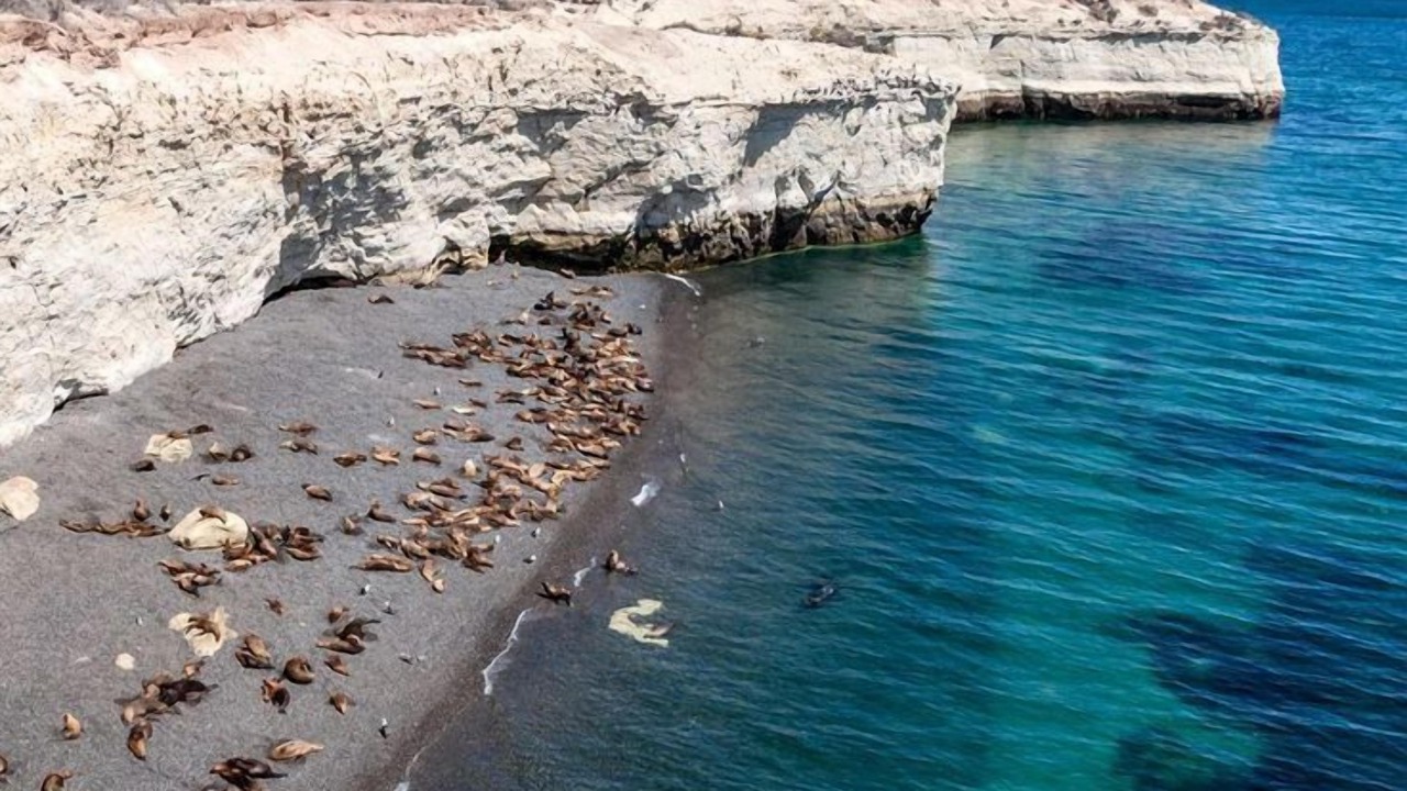Photo of Outdoor in Puerto Madryn