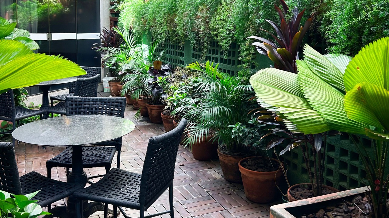 Photo of Outdoor in Sector Aeroporto