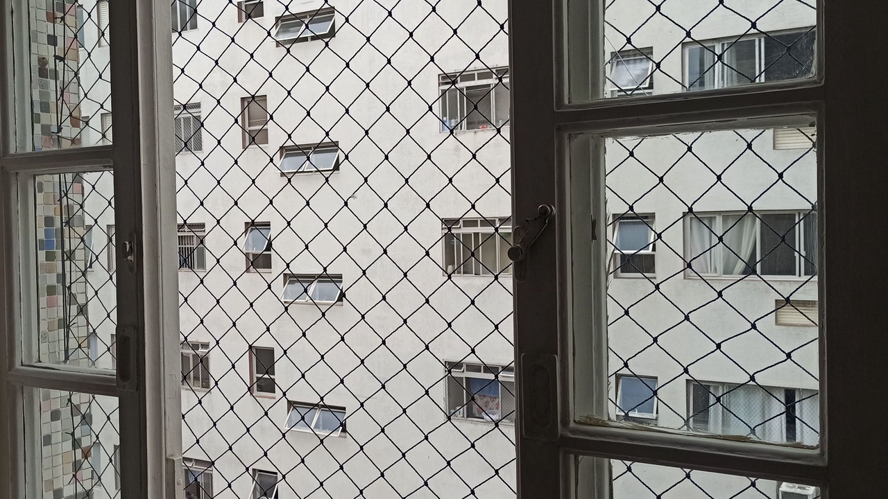 Photo of Others in Pitangueiras