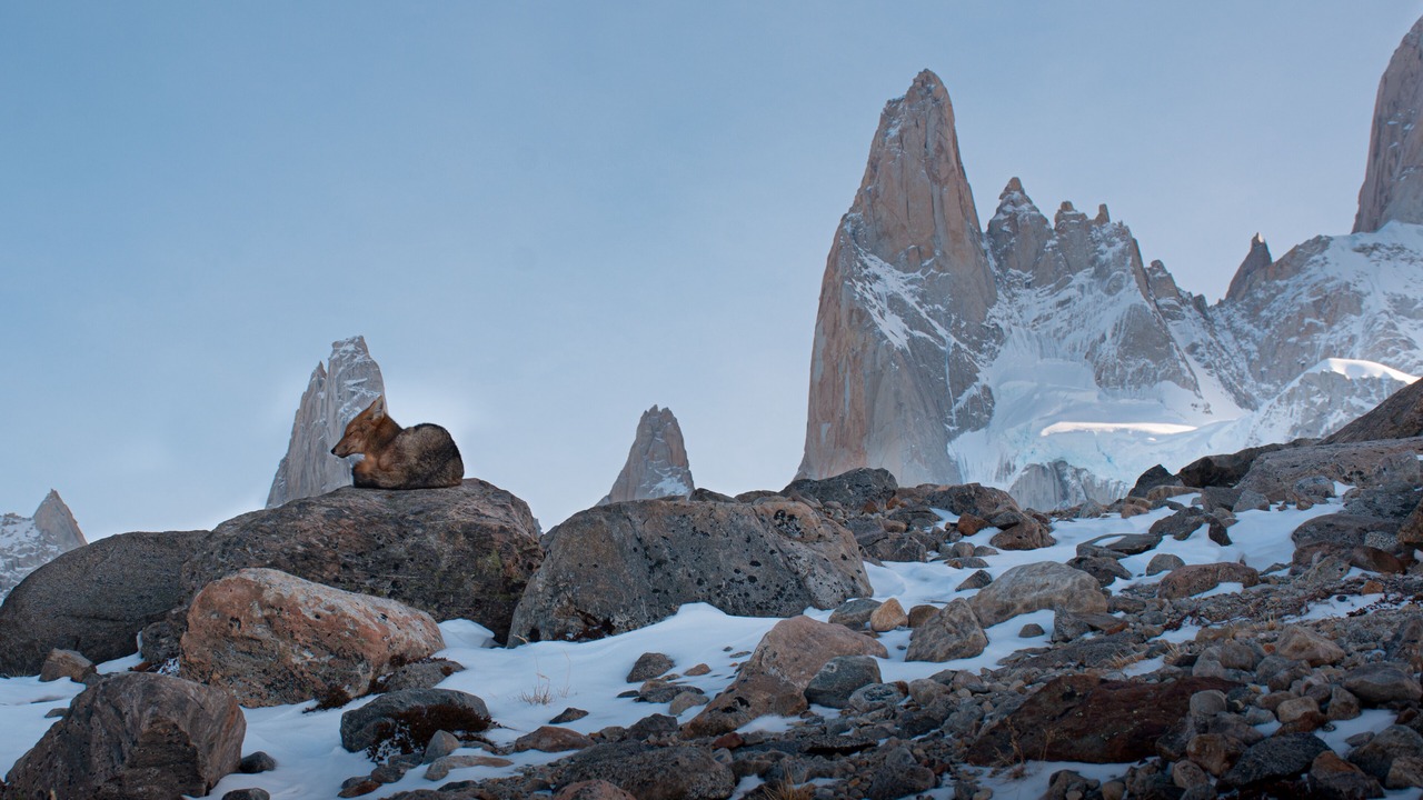 Photo of Others in El Chalten