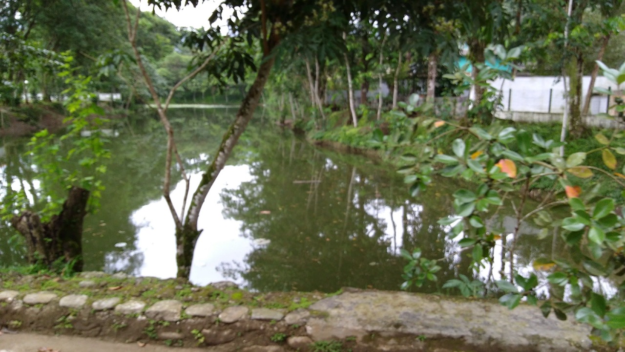 Photo of Outdoor in Horto