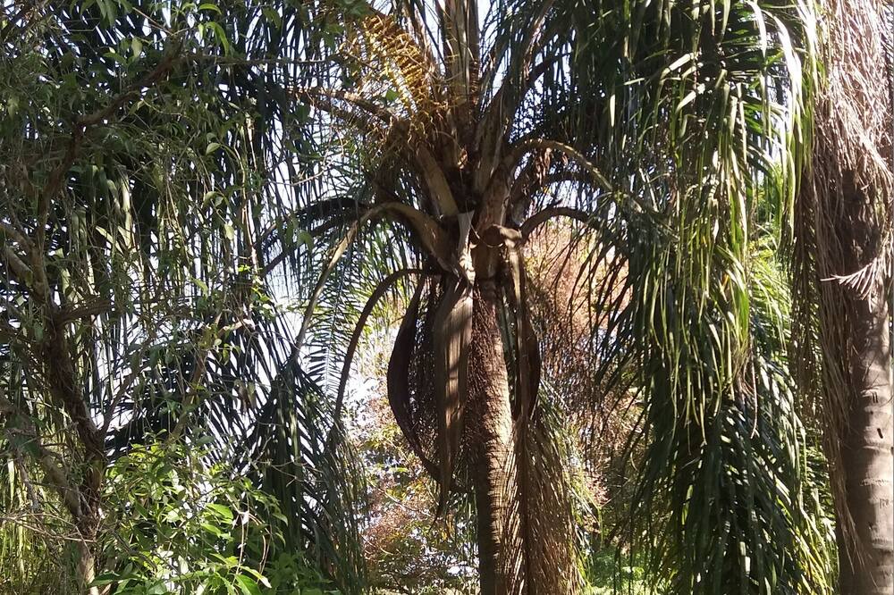 Photo of Outdoor in Salto de Pirapora