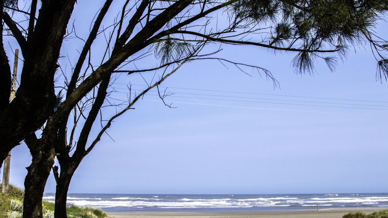 Photo of Others in Balneario Arroio do Silva