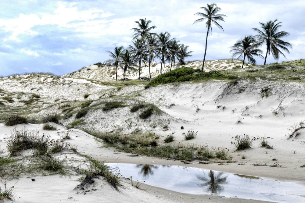 Photo of Others in Barra Nova