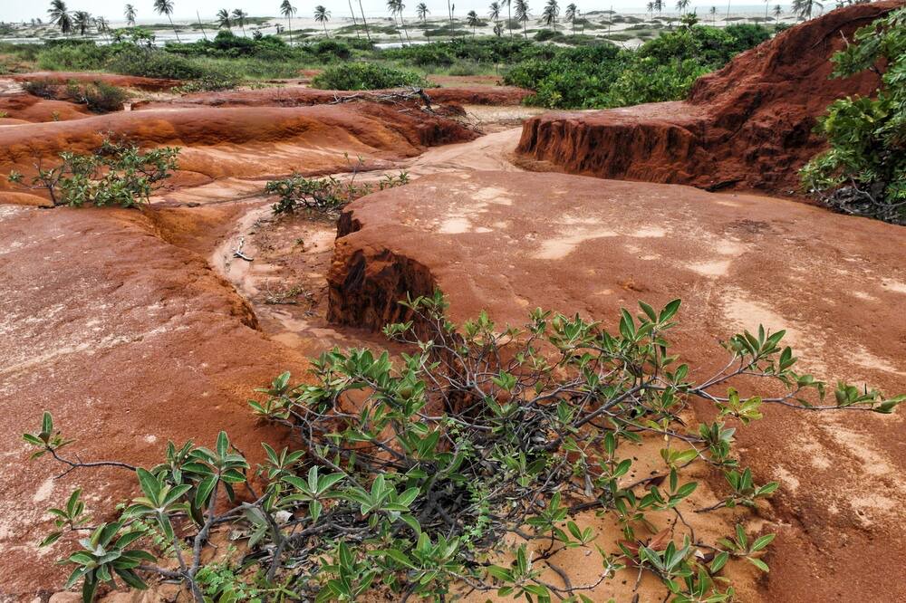 Photo of Outdoor in Barra Nova