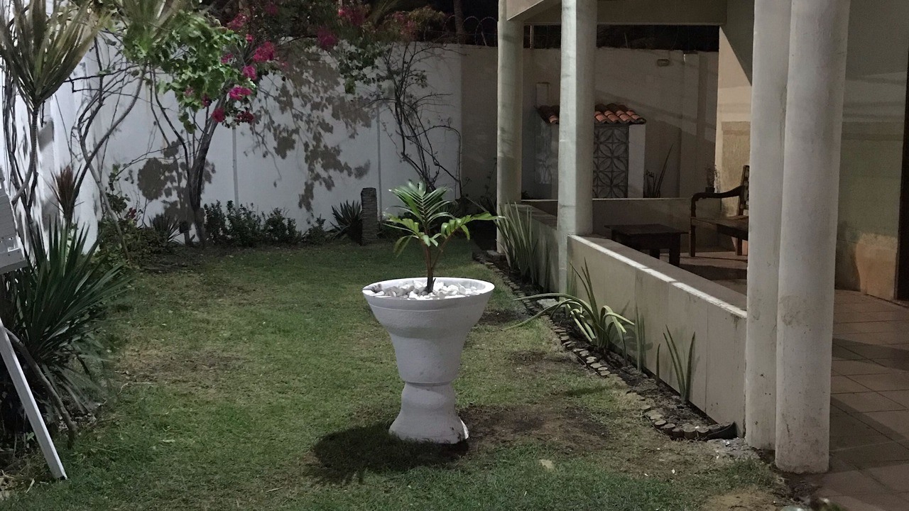 Photo of Outdoor in Sabiaguaba