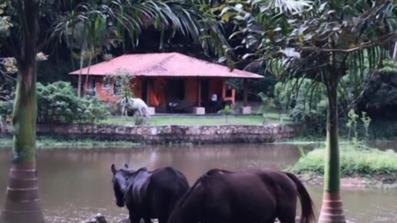 Photo of Outdoor in Guaramiranga