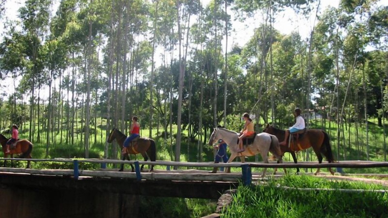 Photo of Outdoor in Sao Sebastiao do Paraiso