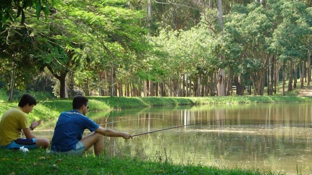 Photo of Others in Sao Sebastiao do Paraiso